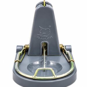 Mouse Trap